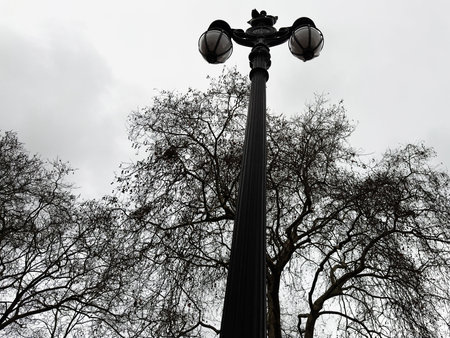 Tall lamppost dominates a wintry London street with silhouetted trees and an overcast mood.