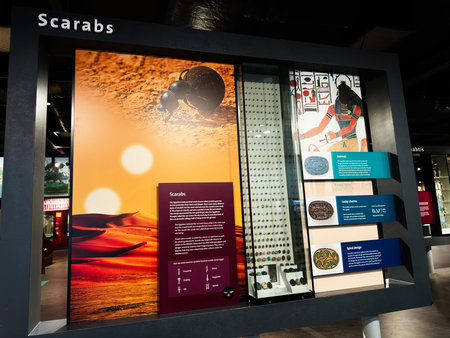 Liverpool, UK - May 16, 2026: Museum display of scarab amulets, hieroglyph panels and desert themed graphics in Liverpool UK.