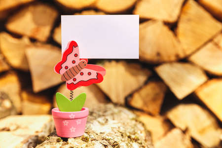 Summer background with butterfly holding bannerの写真素材