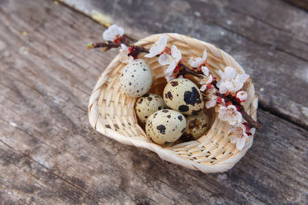 Happy easter with spring flowers and quail eggs on basketの写真素材
