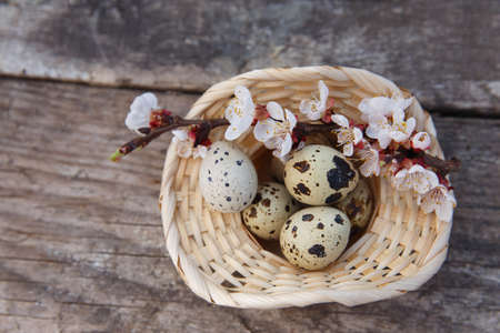 Happy easter with spring flowers and quail eggs on basketの写真素材