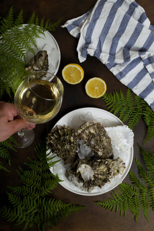 There is a plate of fresh oysters on the dark brown table. In the hands of a man, a glass of white wine.の写真素材