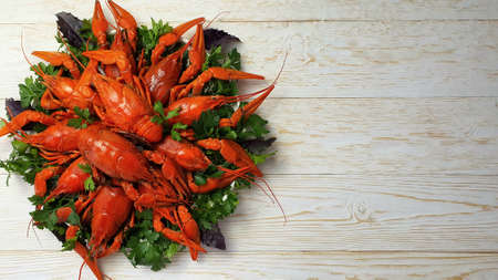 Freshly boiled red crayfish are lying on a bright table in a plateの写真素材