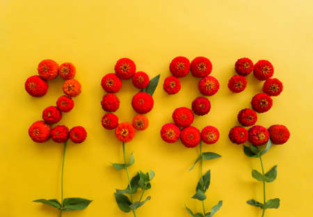 On a yellow background of red flowers of tsinia, 2022 is laid out.の写真素材