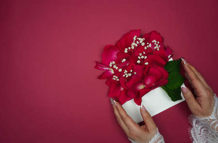 Bright spring background with flowersの写真素材