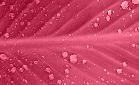 A sheet with raindrops macro photography, painted in the color of the year 2023