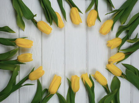 Yellow tulips are laid out on a wooden white tableの写真素材
