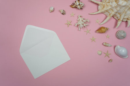 On a pink background there is a white envelope and a variety of shellsの写真素材