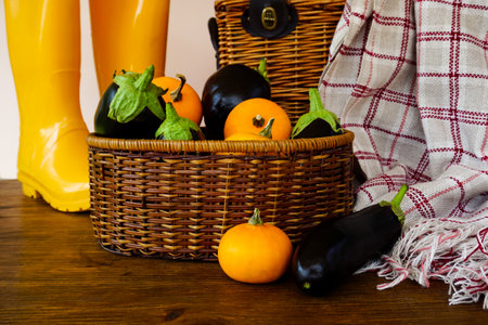 A basket with eggplants and pumpkins is on the table, and in the background there is a wicker basket and yellow rubber bootsの写真素材