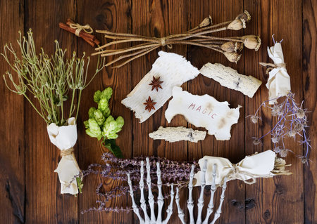 Dried herbs are lying on a wooden table. The skeletons paws are engaged in magic.の写真素材