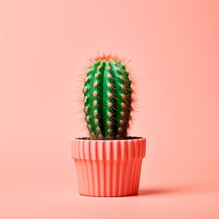 Cactus in a pink pot on a pink background. Minimalism.の素材