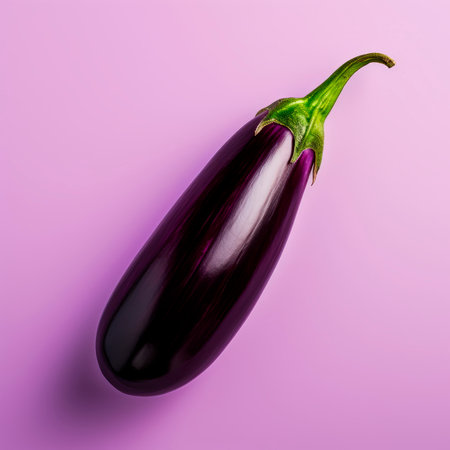 Ripe eggplant on a bright background. Minimalism.の素材