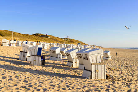 Strandkrbe on the beachの写真素材