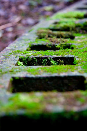 Creative Corroding Metal