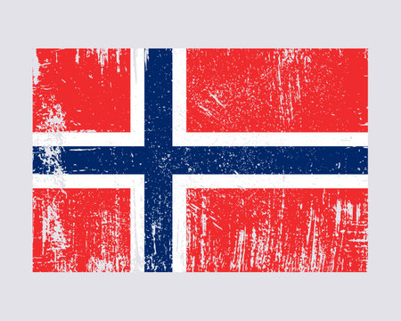 Norway flag vectorのイラスト素材