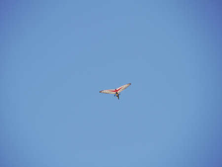 Light aircraft
