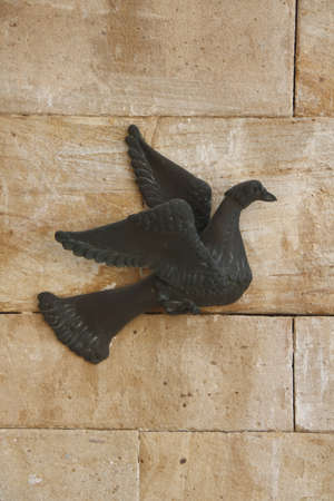 Dove of peaceの写真素材