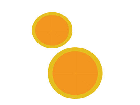 oranges food flat vector, healthy foodのイラスト素材