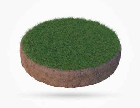3d render of a grassy land with soil isolated on white backgroundの写真素材