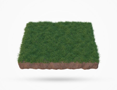 3d rendering of a grassy land isolated on a white backgroundの写真素材