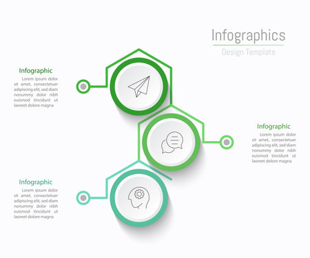 Infographic 3 options design elements for your business data. Vector Illustration.のイラスト素材