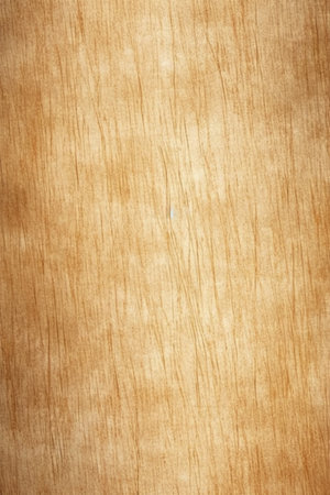 Old paper texture background for design with copy space for text or image.の素材