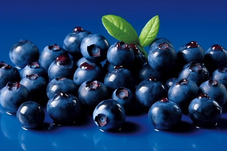Blueberries on a blue background. Shallow depth of field.の素材