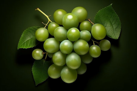Bunch of green grapes with leaves on a dark background. Top view.の素材