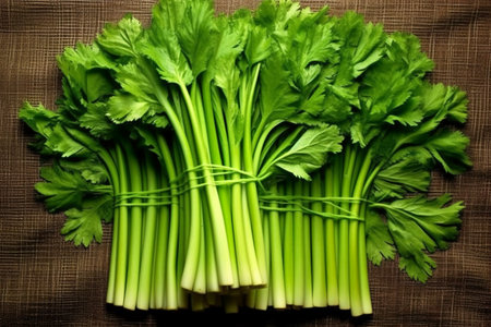 Fresh celery stalks with green leaves on a brown background.の素材