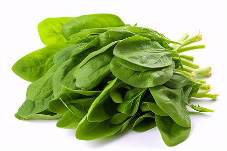 Fresh green spinach isolated on white background. Healthy food. Studio shot.の素材