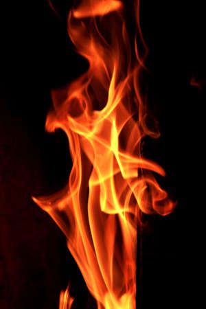 Fire の写真素材