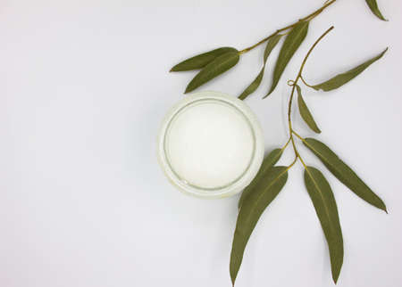 organic cosmetics with coconut oil and a green branch of eucalyptus on white background top view mockupの写真素材