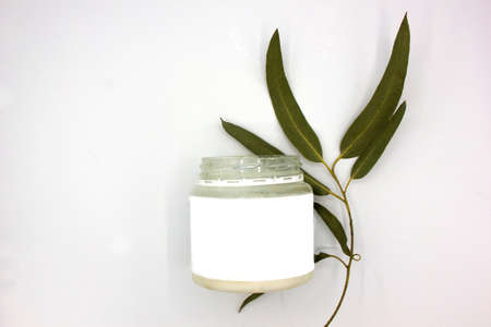 organic cosmetics with coconut oil and a green branch of eucalyptus on white background top view mockupの写真素材