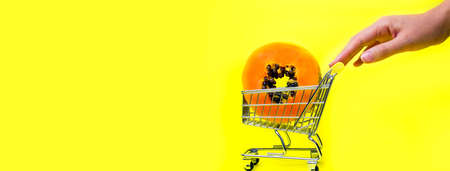 Papaya in a mini shopping trolley or cart and girl's hand is holding and rolling it on a yellow background. The concept of modern online shopping. contactless Fresh tropical fruit fast delivery. Mock up. Space for text. Bannerの写真素材