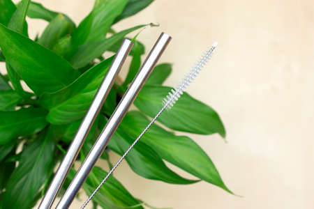 reusable stainless steel straws and special cleaning brush in green background with leaves on light...