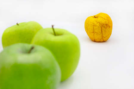 individuality. odd man out. Not like anyone else. Healthy green and yellow rotten apple. Old and young concept with new and old applesの写真素材