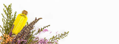 Top view of bottle with natural yellow oil next to dry lavender with flowers on white background. Space for text banner. Alternative medicine conceptの写真素材