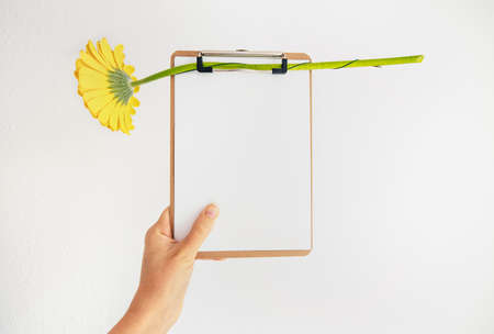 Female hand holding clipboard with empty sheet and yellow flower on white background. Spring allergy treatment. Medical prescription. Blank with yellow gerbera. Flowerd fast delivery. Online shoppingの写真素材
