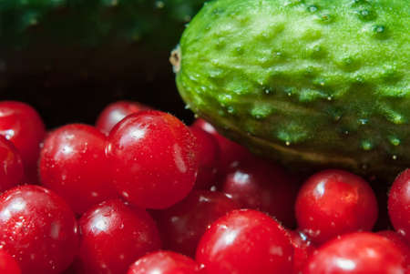 New crop: berries of red cherry and cucumbersの写真素材