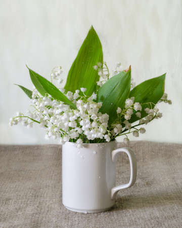 Bouquet of white lily-of-the-valley on the simple rustical background.の写真素材