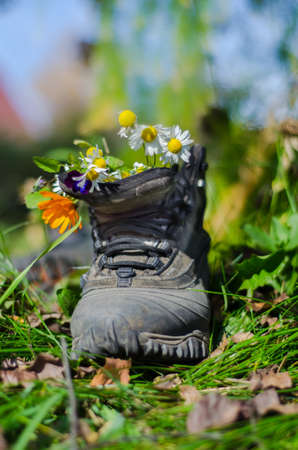 Touristic boot with flowers standing on green grass.の写真素材