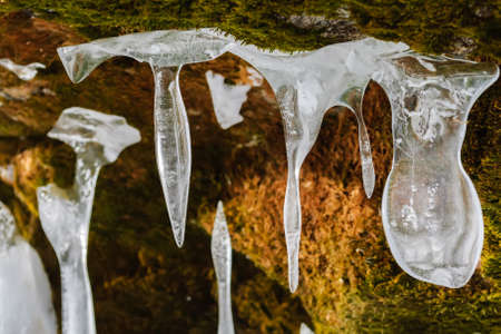 The group of icicles on the stones covered with moss.の写真素材