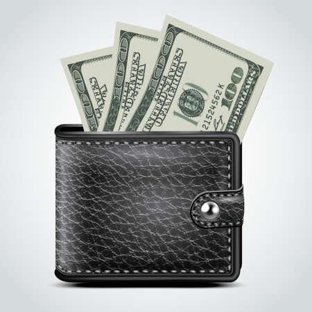 Black Leather Wallet  Dollar USA   White Background  Vectorのイラスト素材
