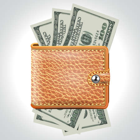 Brown  Wallet  Dollar USA  Vectorのイラスト素材