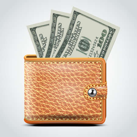 Brown Leather Wallet  Dollar USA   White Background  Vectorのイラスト素材