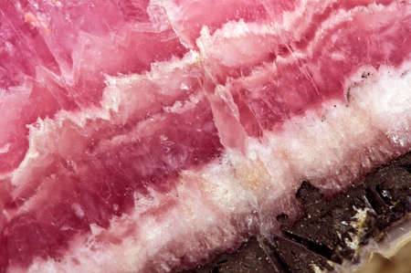 Rhodochrosite MNCO3. Pink manganese carbonate mineral. Macro. Beautiful fantastic background  for...