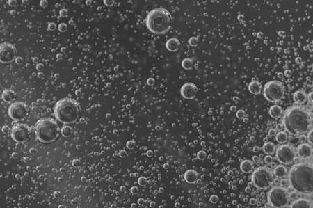 Macro Oxygen bubbles in water on black-and-white background, concept such as ecology and other your successful projectsの写真素材