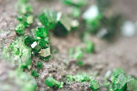 Uvarovite is a chromium-bearing garnet group species with the formula: Ca3Cr2(SiO4)3. Macro. Background for successful Your projectsの写真素材