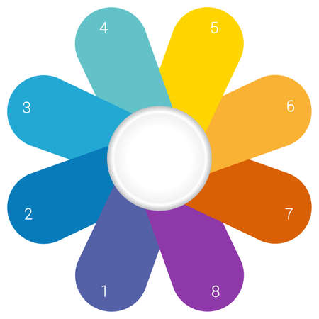 Flower Camomile infographic template colourful petalsの写真素材