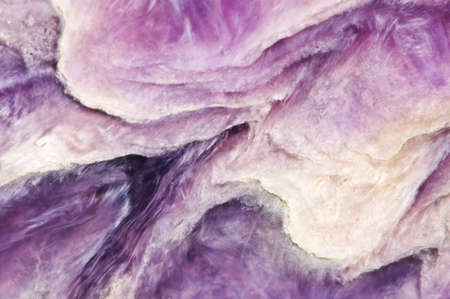 Lilac background. Charoite. Mineral. Crystal. Natural abstract b